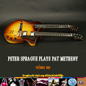 Peter Sprague Plays Pat Metheny Vol.2